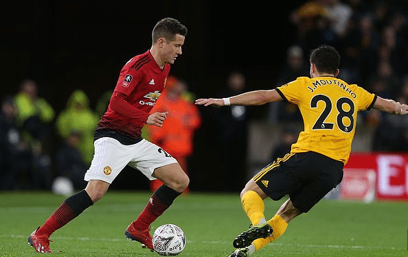 新鲜的活力 新鲜的活力